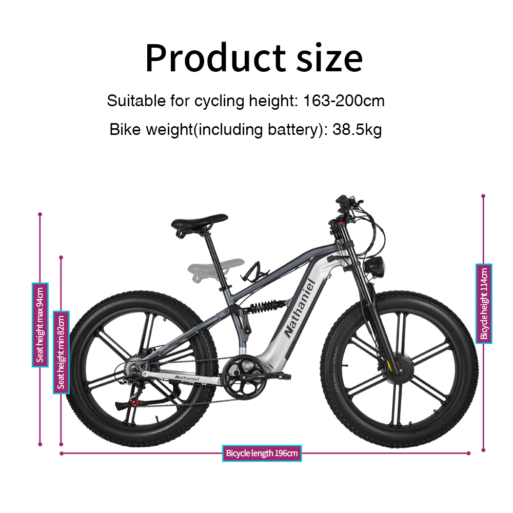 나타니엘 SYR09 전기 자전거 2000W 듀얼 모터, - Dual Motor Ebike Kit 2000W 리뷰 및 가격