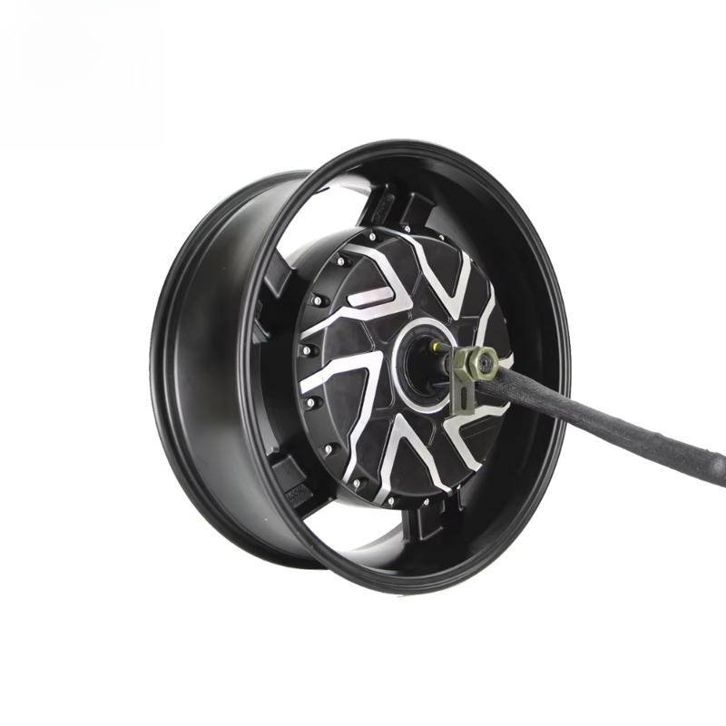 QSMOTOR 17X6.0인치 273 12000W V4 - 12000W Electric Motorcycle Hub Motor 리뷰 및 가격