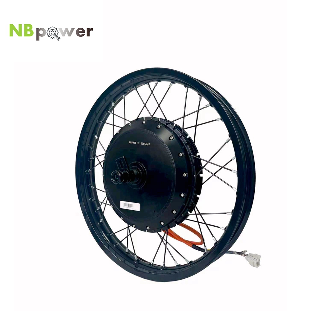 NBpower/170mm 드롭아웃 QS 273 40H  - 72V 8000W Brushless Hub Motor 리뷰 및 가격
