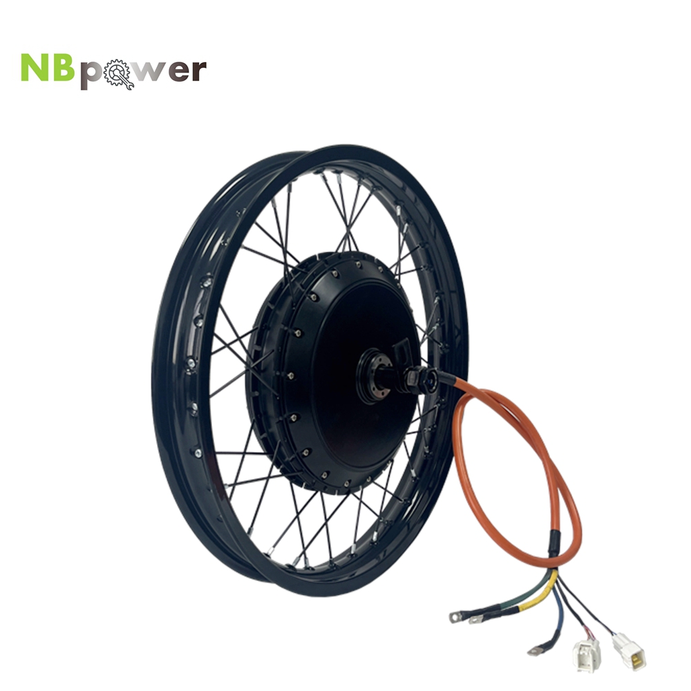 NBpower/170mm 드롭아웃 QS 273 40H  - 72V 8000W Brushless Hub Motor 리뷰 및 가격